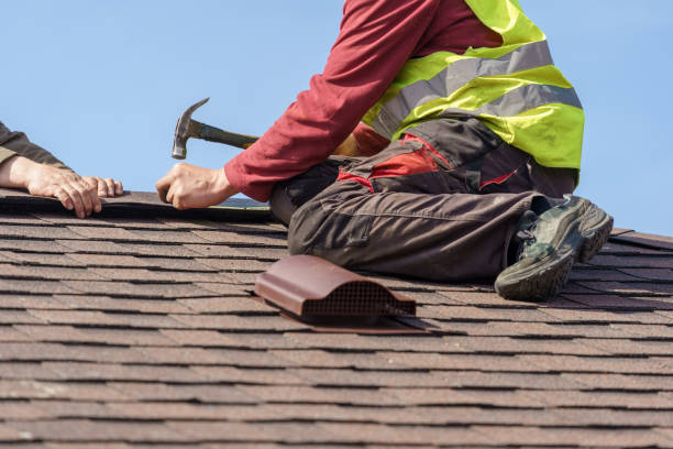 Best Local Roofing Companies  in Carol Stream, IL