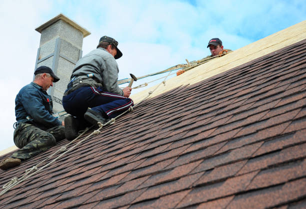 Quick and Trustworthy Emergency Roof Repair Services in Carol Stream, IL