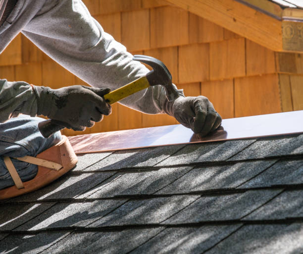 Best Roof Gutter Cleaning  in Carol Stream, IL